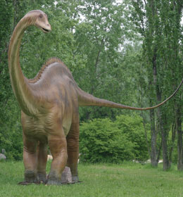 Diplodocus