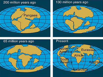 A diagram showing how the continents drifted apart