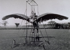 An ornithopter