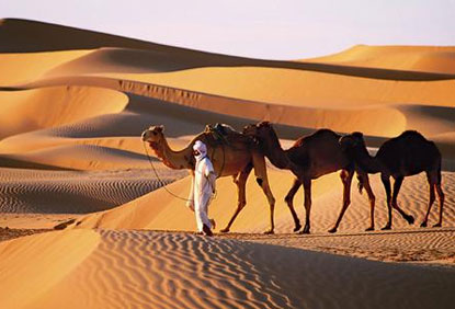 Algeria's desert