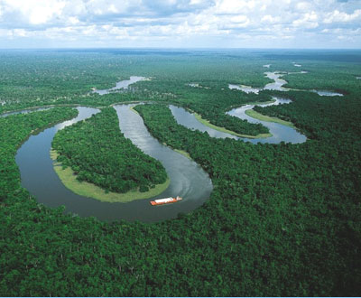 The Amazon River