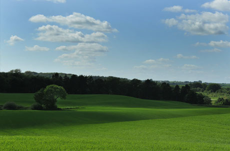 Danish countryside in the spring