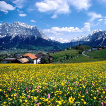 The French countryside