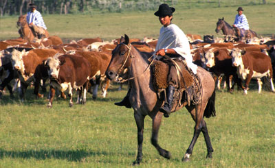 A gaucho with typical clothing