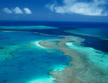 The Great Barrier Reef