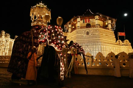 The most spectacular Buddhist festival of the year, the historic Kandy Esala Perahera