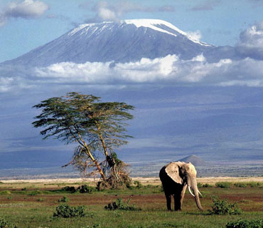 A panorama of Mount Kilimanjaro