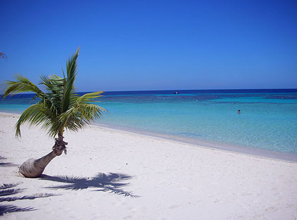 Beach at Roatan